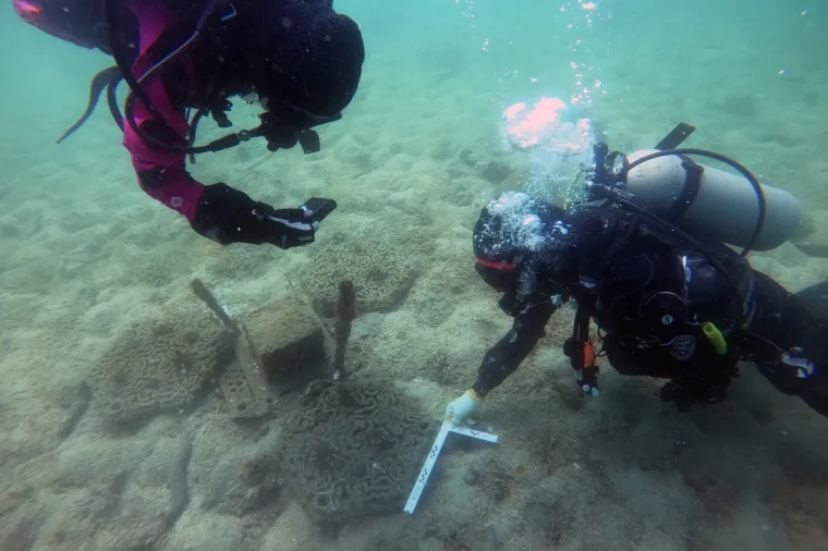 &Scaron;to to njihovi brodovi rade u sjevernom Pacifiku? 'Ovo je duboko zabrinjavajuće'