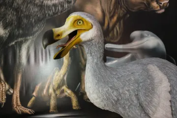 [KVIZ] Koliko zna&scaron; o ovim izumrlim životinjskim vrstama?