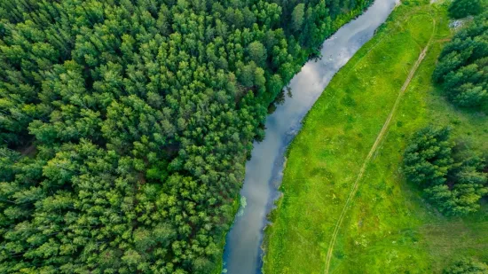 [KVIZ] Rijetki će imati sve točno na pitanjima o drveću