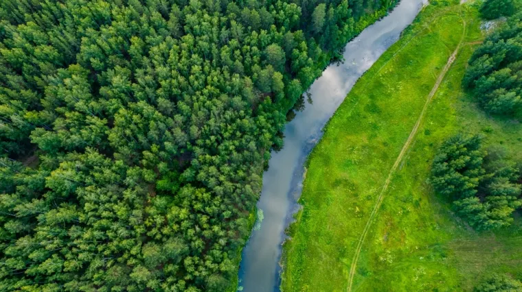 [KVIZ] Rijetki će imati sve točno na pitanjima o drveću