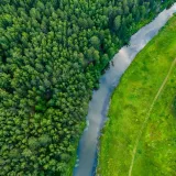 [KVIZ] Rijetki će imati sve točno na pitanjima o drveću