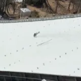 Horor na Planici: Slovenski skakač doživio stra&scaron;an pad, publika ostala u &scaron;oku