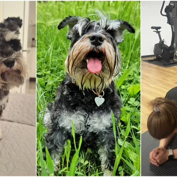 Mudri najbolji prijatelj: Va&scaron;i patuljasti &scaron;nauceri malo koga neće razveseliti