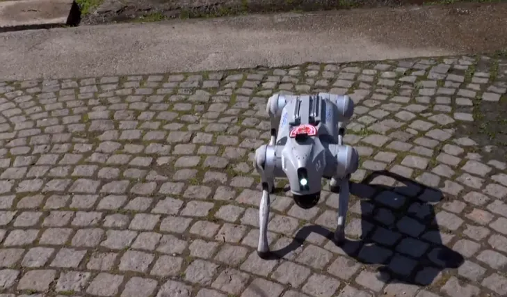 Vatrogasne potražne pse zamijenit će roboti: Spa&scaron;avat će živote na najopasnijim mjestima