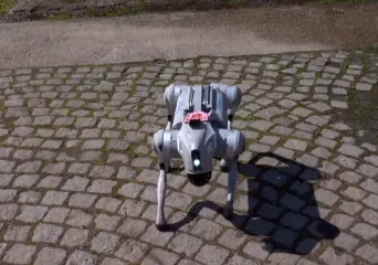 Vatrogasne potražne pse zamijenit će roboti: Spa&scaron;avat će živote na najopasnijim mjestima