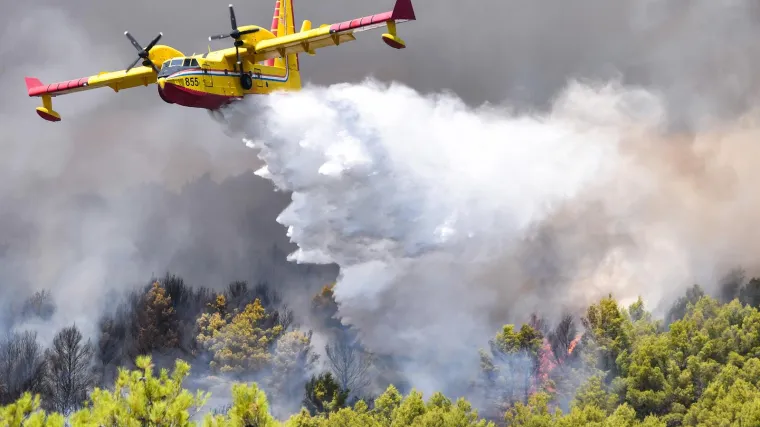 EU pokreće novu strategiju za borbu protiv &scaron;umskih požara: Pro&scaron;le godine spaljeno vi&scaron;e od milijun hektara