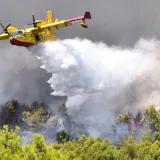 EU pokreće novu strategiju za borbu protiv &scaron;umskih požara: Pro&scaron;le godine spaljeno vi&scaron;e od milijun hektara
