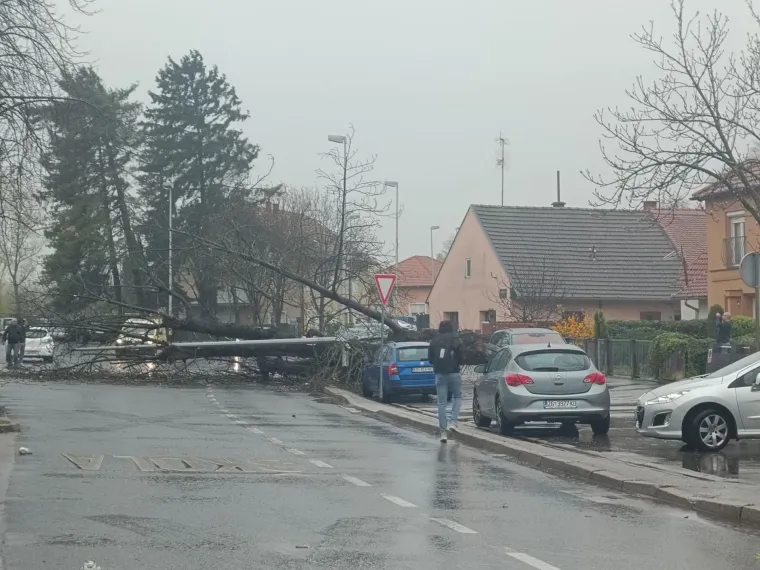 Stup i stablo zdrobili auto, a ovo su scene u centru Zagreba: 'Djeca idu iz &scaron;kole, srećom nitko nije stradao..."