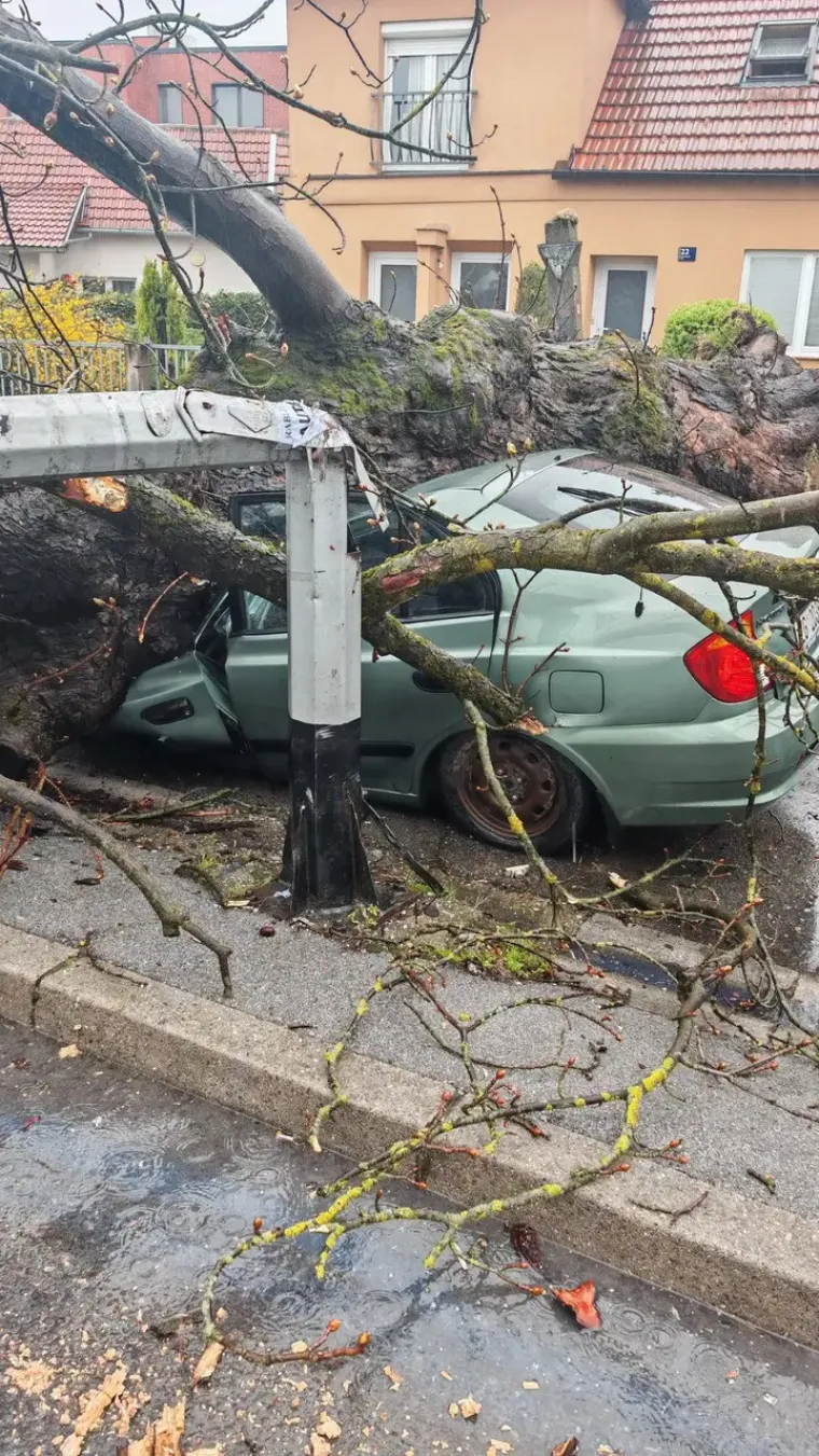 Stup i stablo zdrobili auto, a ovo su scene u centru Zagreba: 'Djeca idu iz &scaron;kole, srećom nitko nije stradao..."