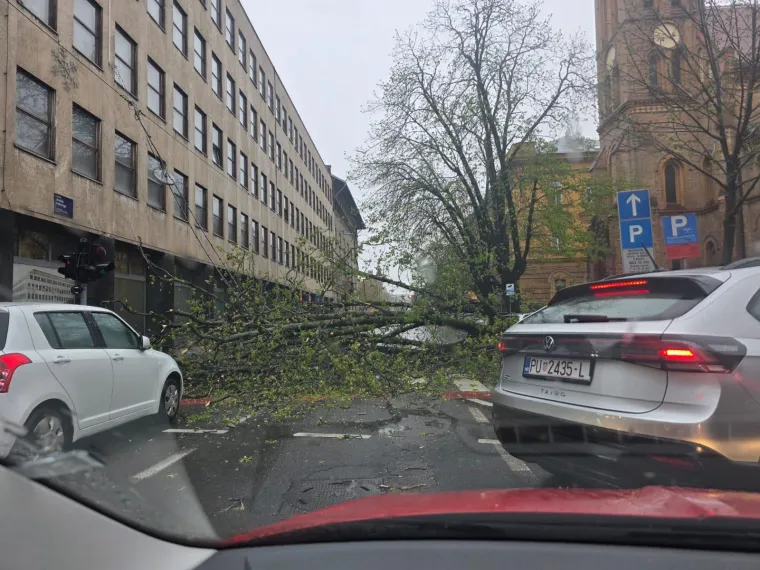 Stup i stablo zdrobili auto, a ovo su scene u centru Zagreba: 'Djeca idu iz &scaron;kole, srećom nitko nije stradao..."