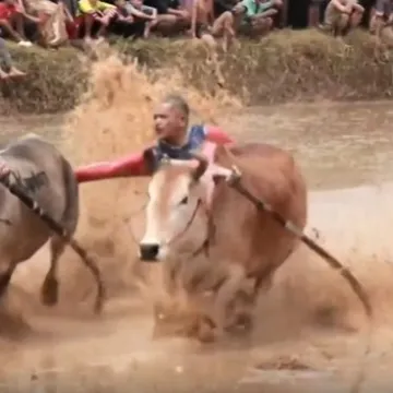 Nevjerojatni prizori s drugog kraja svijeta: Ovakvu utrku sigurno jo&scaron; niste vidjeli