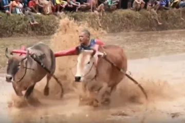Nevjerojatni prizori s drugog kraja svijeta: Ovakvu utrku sigurno jo&scaron; niste vidjeli