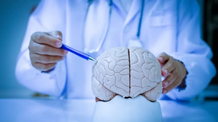 [KVIZ] Jeste li stručnjak koji zna sve o mozgu, neuronima i impulsima?