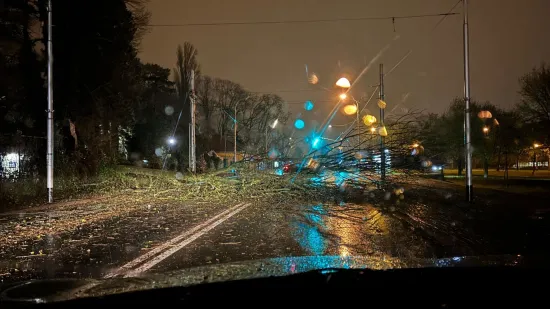 Dio A1 zatvoren zbog olujnog vjetra. U Maksimirskoj cesti palo ogromno drvo: 'Izgleda opasno'