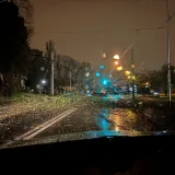 Dio A1 zatvoren zbog olujnog vjetra. U Maksimirskoj cesti palo ogromno drvo: 'Izgleda opasno'