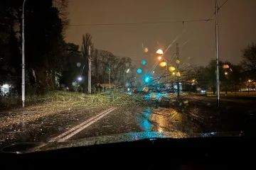Dio A1 zatvoren zbog olujnog vjetra. U Maksimirskoj cesti palo ogromno drvo: 'Izgleda opasno'