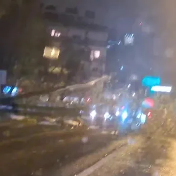 Ovo je Zagreb u petak ujutro: Polomljena stabla i grane, sru&scaron;eni stupovi, skele, lampe...