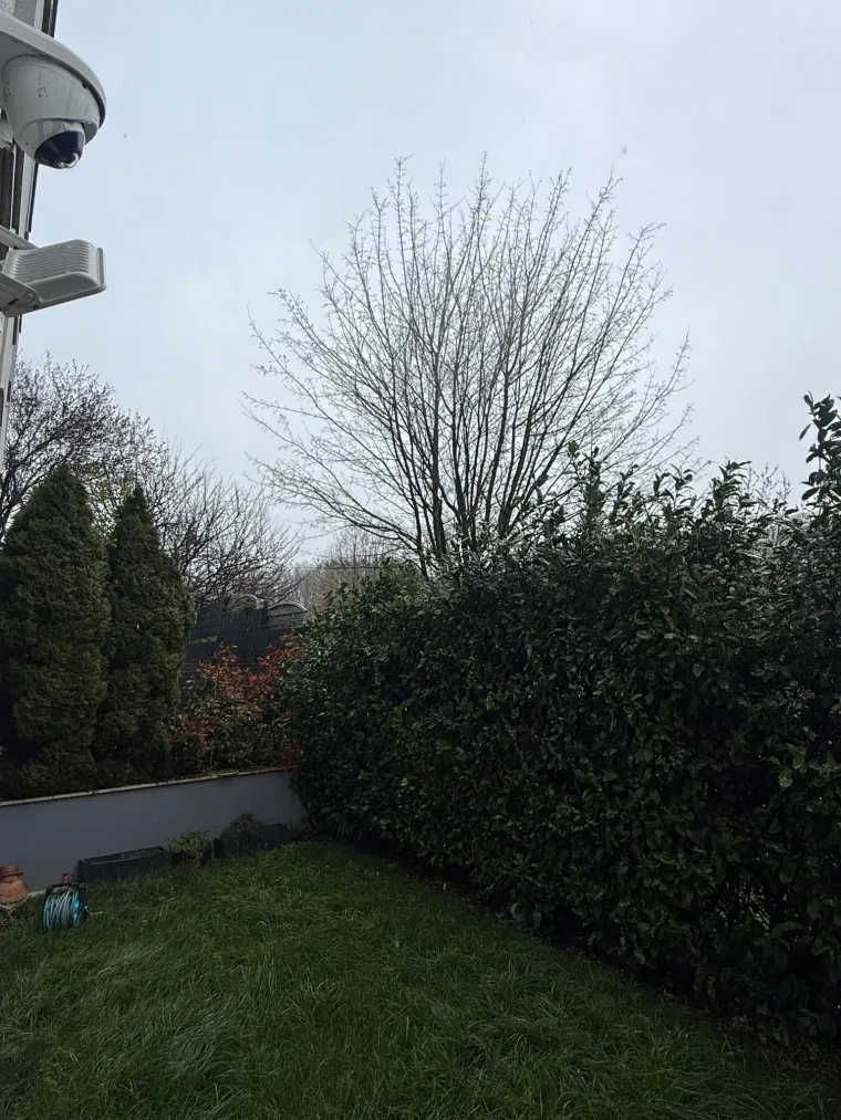 Hana Hadžiavdagić o kaosu u podsljemenskoj zoni: 'Vjetar nalikuju na dim, sve izgleda katastofalno'