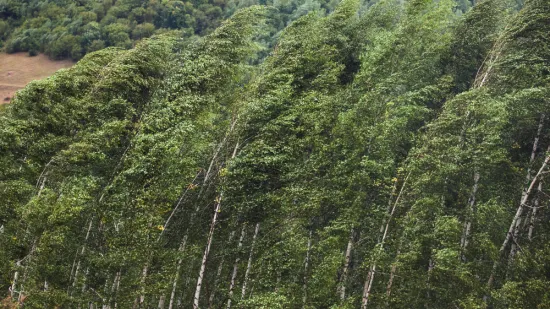 [KVIZ] Koliko znate o vjetrovima?