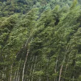 [KVIZ] Koliko znate o vjetrovima?