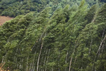 [KVIZ] Koliko znate o vjetrovima?