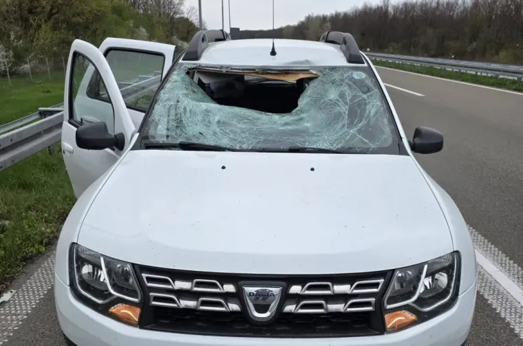 Srna mu razbila '&scaron;ajbu' i uletjela u auto! 'Stakla je bilo i po djetetu, ruke su mi isječene'