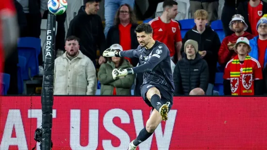 Sin brončanog Vatrenog postao heroj Bosne i Hercegovine