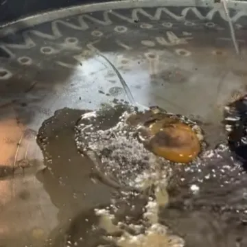 Malo ulične hrane za sve sklone avanturi