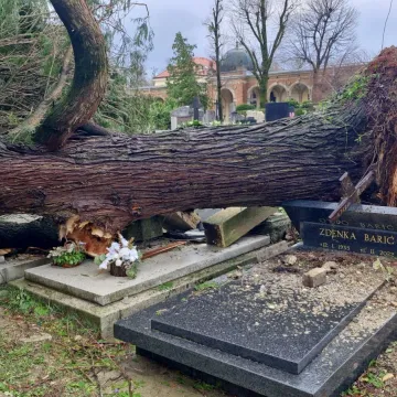 Mirogoj poharalo nevrijeme: O&scaron;tećen grob legendarnog trenera, stabla padala i na anđele