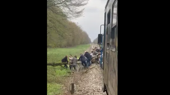 Stablo palo na tračnice: &Scaron;iri se snimka munjevite reakcije putnika i osoblja