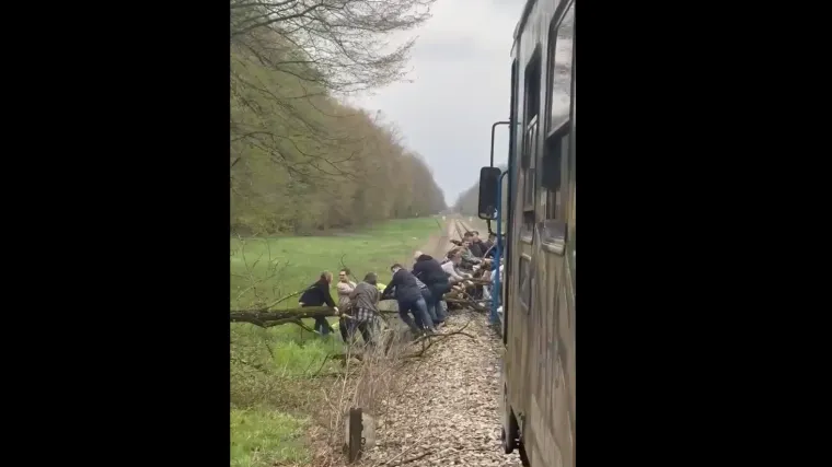 Stablo palo na tračnice: &Scaron;iri se snimka munjevite reakcije putnika i osoblja