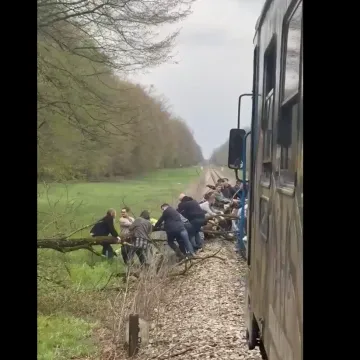 Stablo palo na tračnice: &Scaron;iri se snimka munjevite reakcije putnika i osoblja