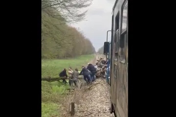 Stablo palo na tračnice: &Scaron;iri se snimka munjevite reakcije putnika i osoblja
