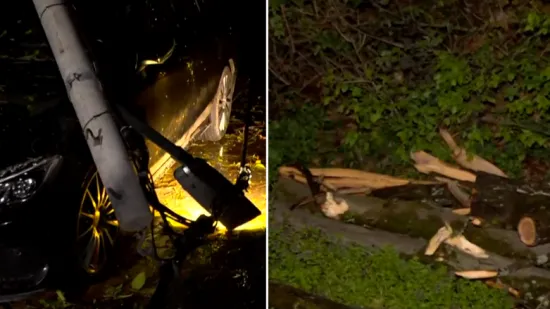 Stra&scaron;ni prizori: Stupovi pali na aute, vjetar počupao golema stabla