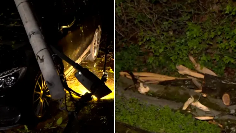 Stra&scaron;ni prizori: Stupovi pali na aute, vjetar počupao golema stabla