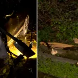 Stra&scaron;ni prizori: Stupovi pali na aute, vjetar počupao golema stabla