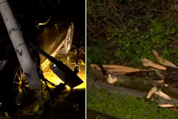 Stra&scaron;ni prizori: Stupovi pali na aute, vjetar počupao golema stabla