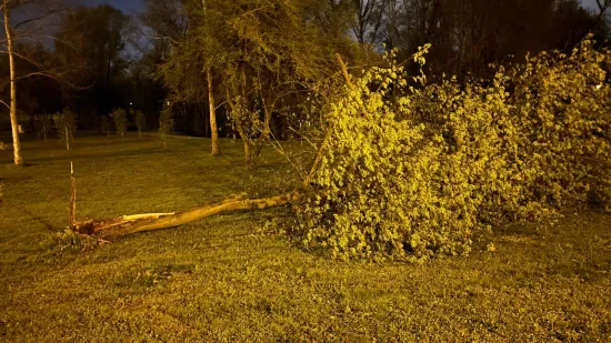 Oluja 'počupala' Bundek: Pogledajte &scaron;to je ostalo od omiljenog zagrebačkog parka