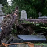 Uni&scaron;teni grobovi na Mirogoju, oluja sru&scaron;ila 200 stabala: 'Molim vas da ne dolazite'