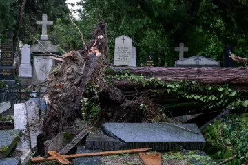 Uni&scaron;teni grobovi na Mirogoju, oluja sru&scaron;ila 200 stabala: 'Molim vas da ne dolazite'