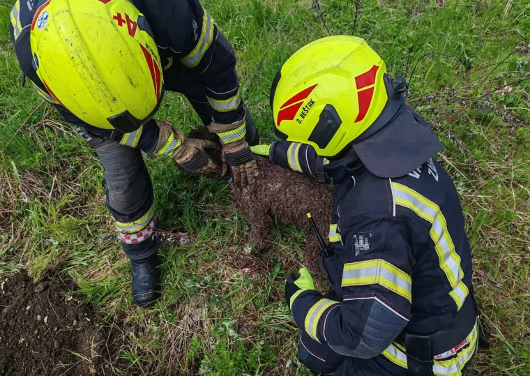 Pas upao u &scaron;aht dubok čak osam metara: Vatrogasci objavili fotografije spa&scaron;avanja