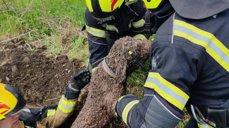 Pas upao u &scaron;aht dubok čak osam metara: Vatrogasci objavili fotografije spa&scaron;avanja