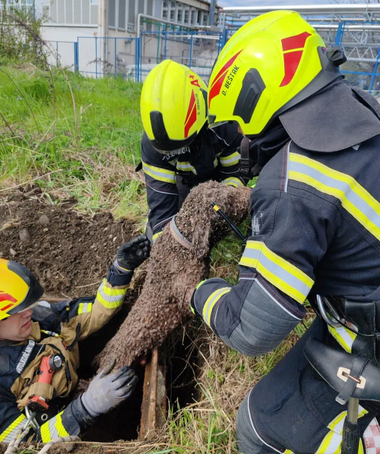 Pas upao u &scaron;aht dubok čak osam metara: Vatrogasci objavili fotografije spa&scaron;avanja