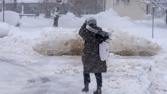 Dvije hrvatske općine drugi dan bez struje: Problem je duboko u &scaron;umi