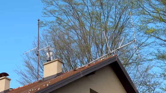 Ana: 'Rekli su da ne dramimo a tu visi antena od 100 kilograma i prijeti da će nekoga ubiti'