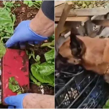 U hrvatskom gradu za ovakav slučaj jo&scaron; nisu čuli: 'U &scaron;oku sam, Bože sačuvaj!'