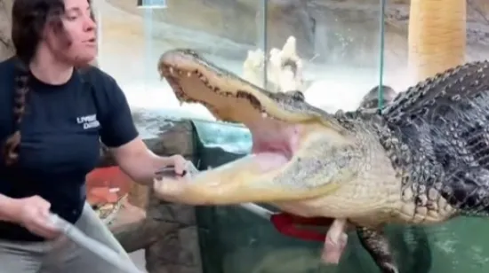 Za koliku biste plaću radili ovaj posao?