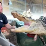 Za koliku biste plaću radili ovaj posao?