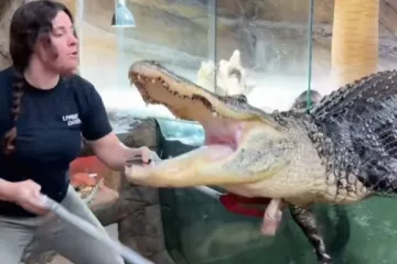 Za koliku biste plaću radili ovaj posao?