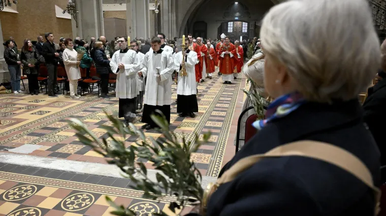 Procesije s maslinovim grančicama diljem Hrvatske: Posebno svečano u zagrebačkoj katedrali